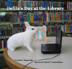 Delila's Day at the Library book cover
