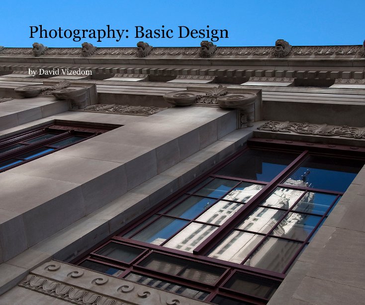 View Photography: Basic Design by David Vizedom