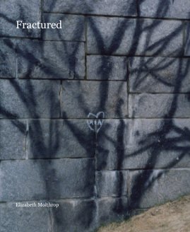 Fractured book cover