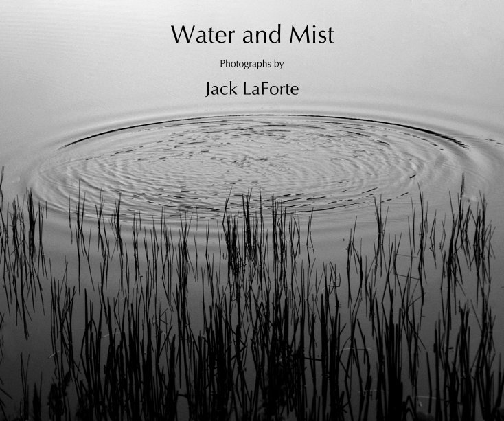 View Water and Mist by Jack LaForte