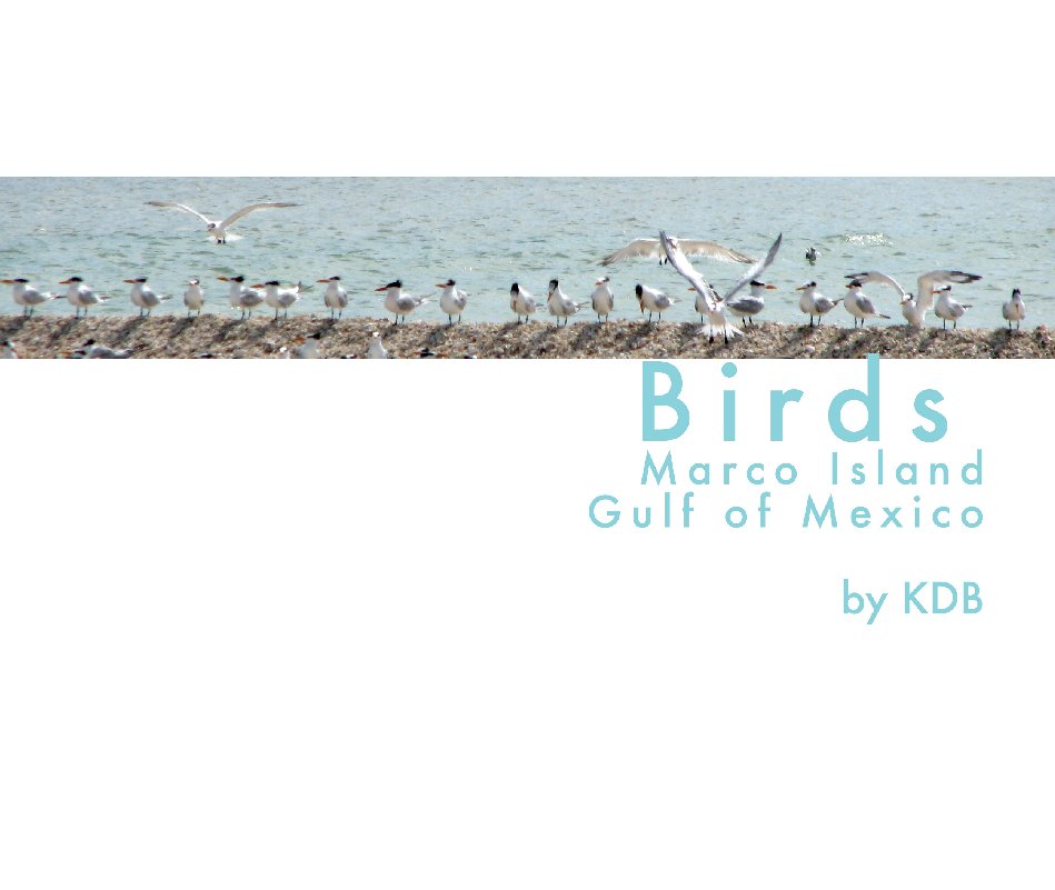 Visualizza Birds di KDB-Karen Dominguez