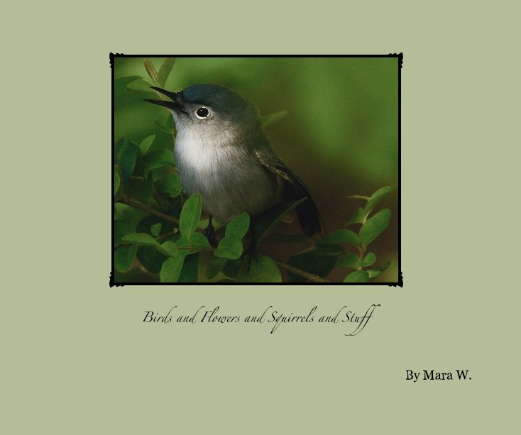 View Birds and Flowers and Squirrels and Stuff by Mara W.