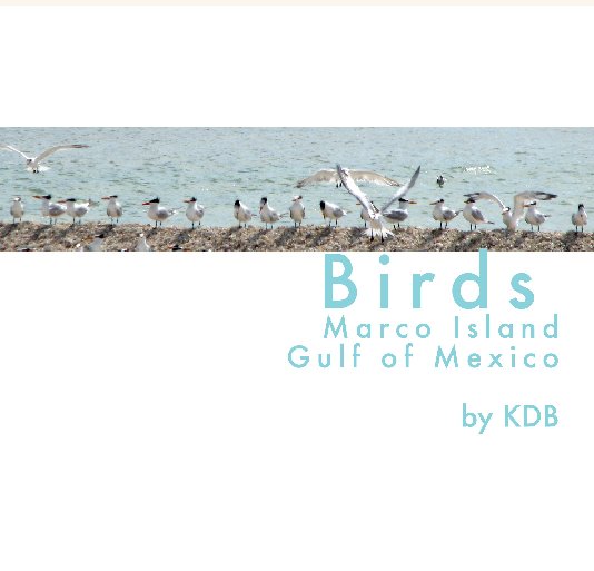 View Birds by KDB.Karen Dominguez