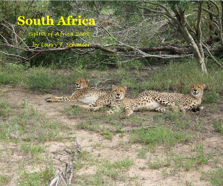 View South Africa by Larry J. Schmier
