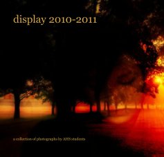 display 2010-2011 book cover