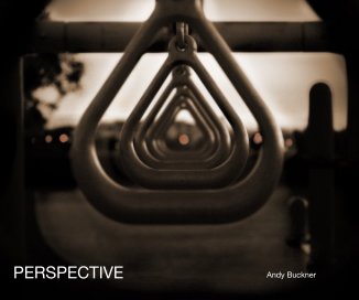 PERSPECTIVE book cover