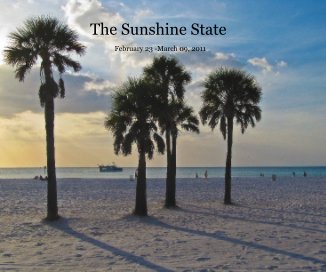 The Sunshine State book cover