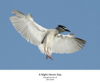 A Night Heron Day book cover