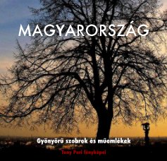 MAGYARORSZÁG book cover