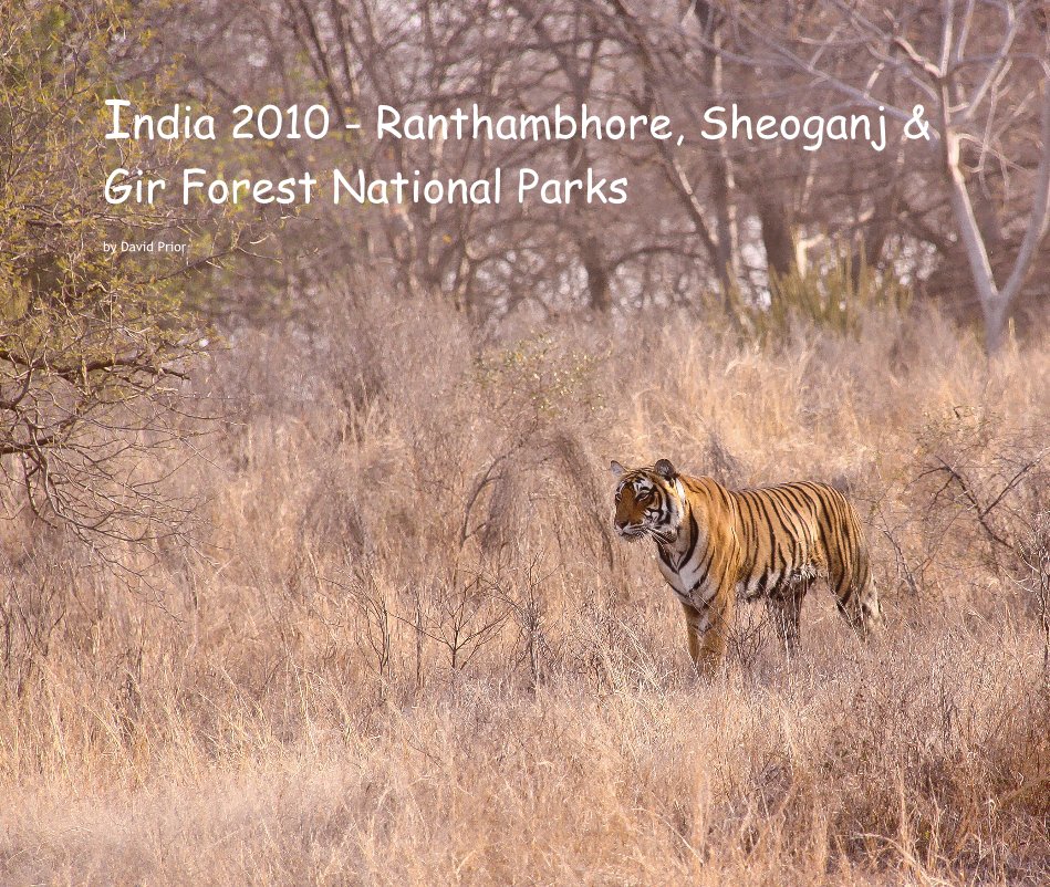 Ver India 2010 - Ranthambhore, Sheoganj & Gir Forest National Parks por David Prior