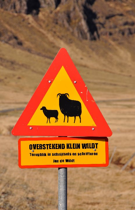 Visualizza Overstekend Klein Wildt di Jan de Wildt