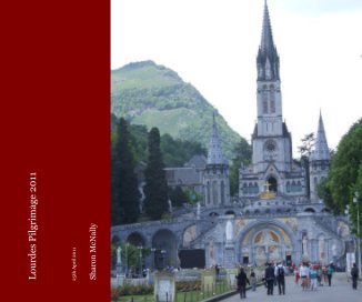 Lourdes Pilgrimage 2011 book cover