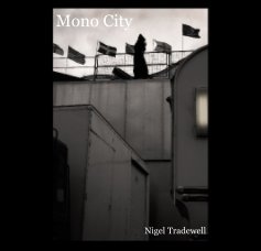 Mono City book cover