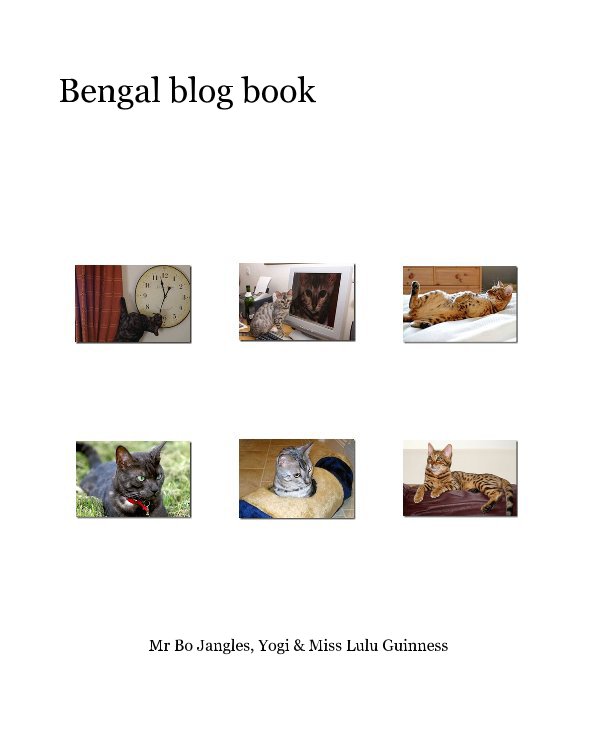 View Bengal blog book by Mr Bo Jangles, Yogi & Miss Lulu Guinness