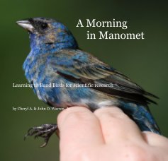 A Morning in Manomet book cover