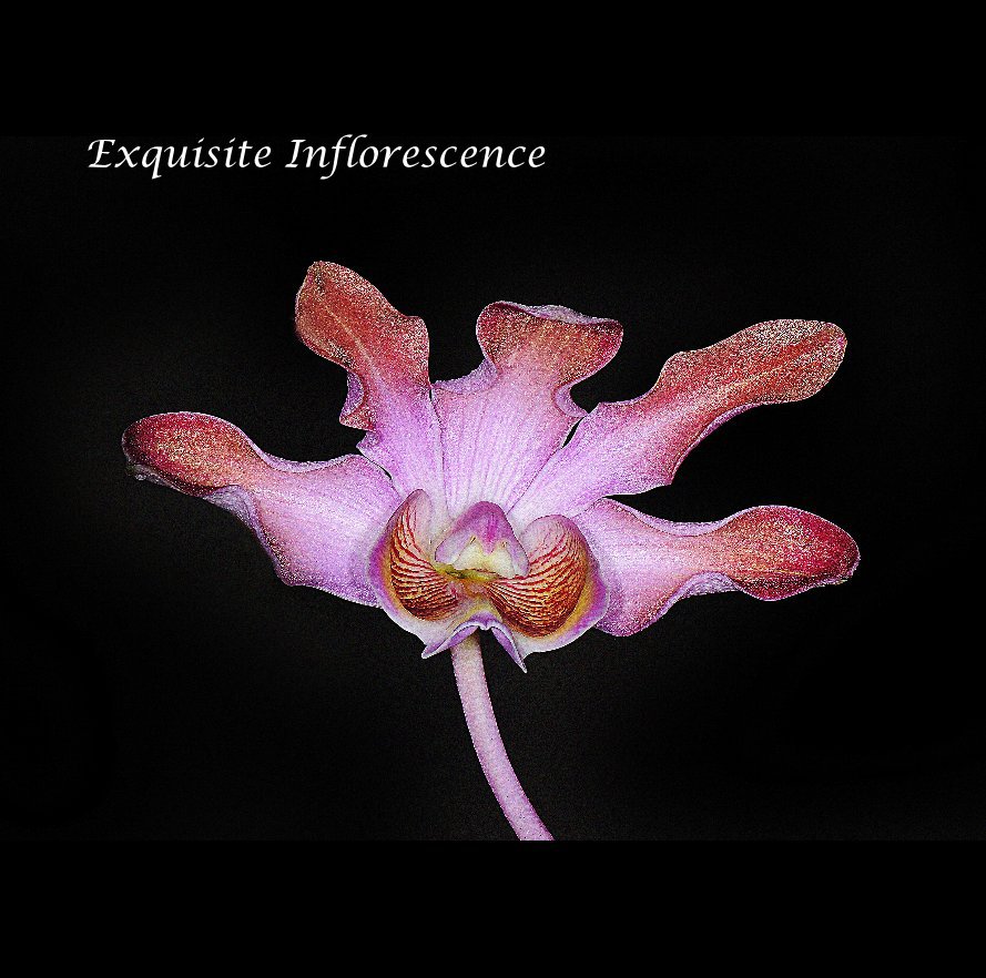Ver Exquisite Inflorescence por Richard R.Ashby