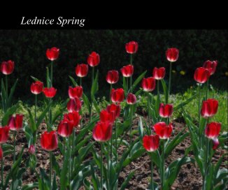 Lednice Spring book cover