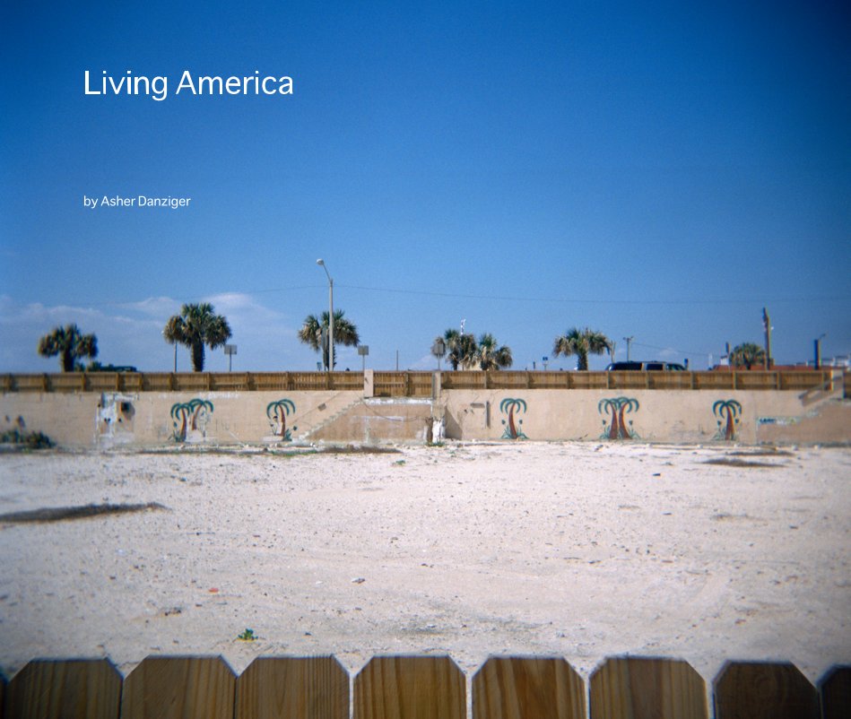 View Living America by Asher Danziger