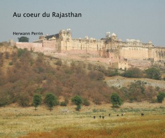 Au coeur du Rajasthan book cover