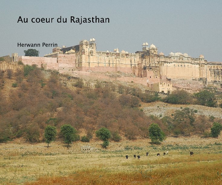 Visualizza Au coeur du Rajasthan di Herwann Perrin