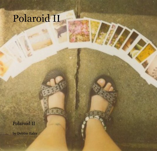 View Polaroid II by Debbie Ealer