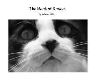 The Book of Bosco book cover