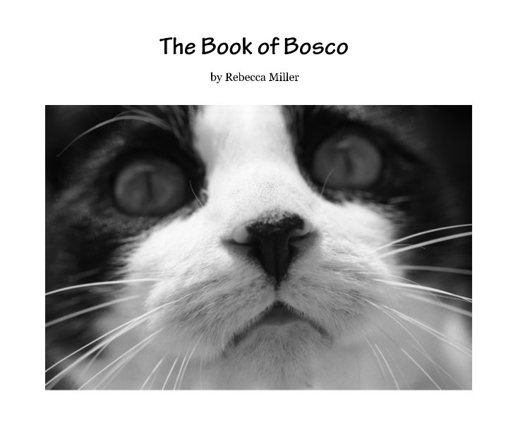 View The Book of Bosco by rmiller01