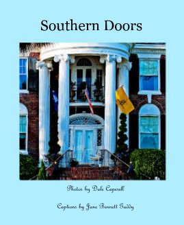 Southern Doors book cover