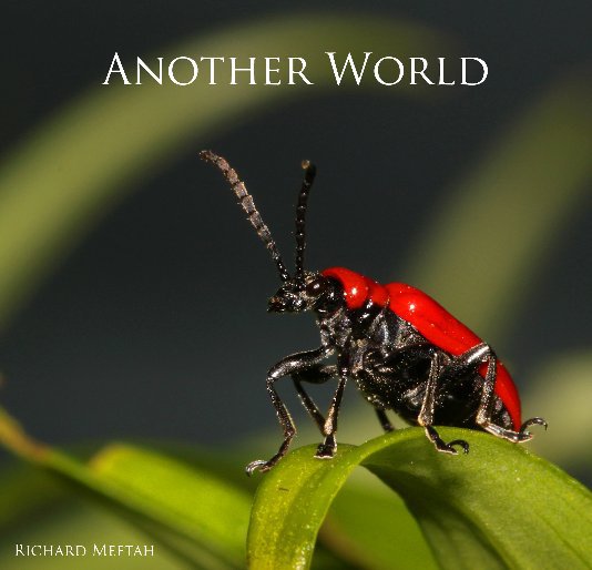 Ver Another World por Richard Meftah