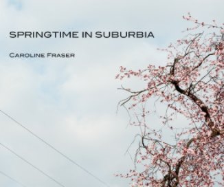 Springtime in Suburbia book cover