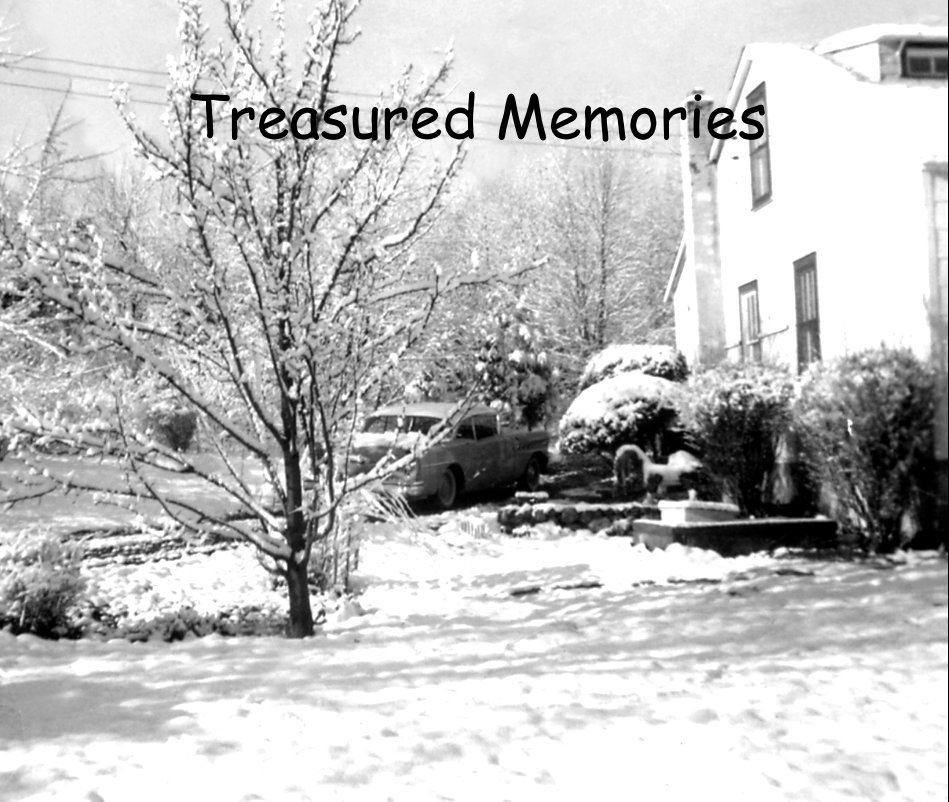 Visualizza Treasured Memories di bguarrasi