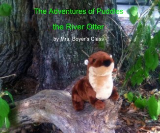 The Adventures of Puddles book cover