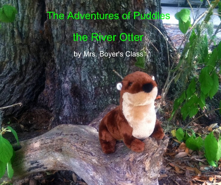View The Adventures of Puddles by Mrs. Boyer's Class