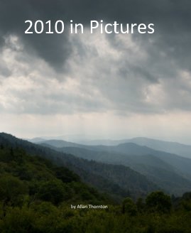 2010 in Pictures book cover