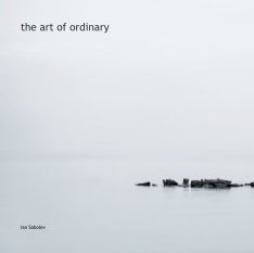 the art of ordinary book cover