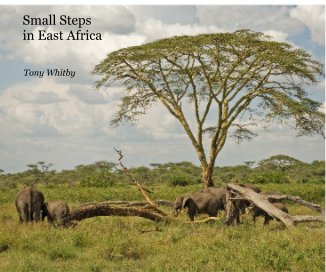Small Steps in East Africa book cover