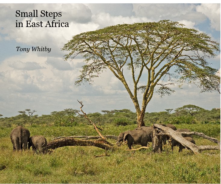 View Small Steps in East Africa by Tony Whitby