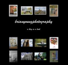 brianyoungphotography book cover