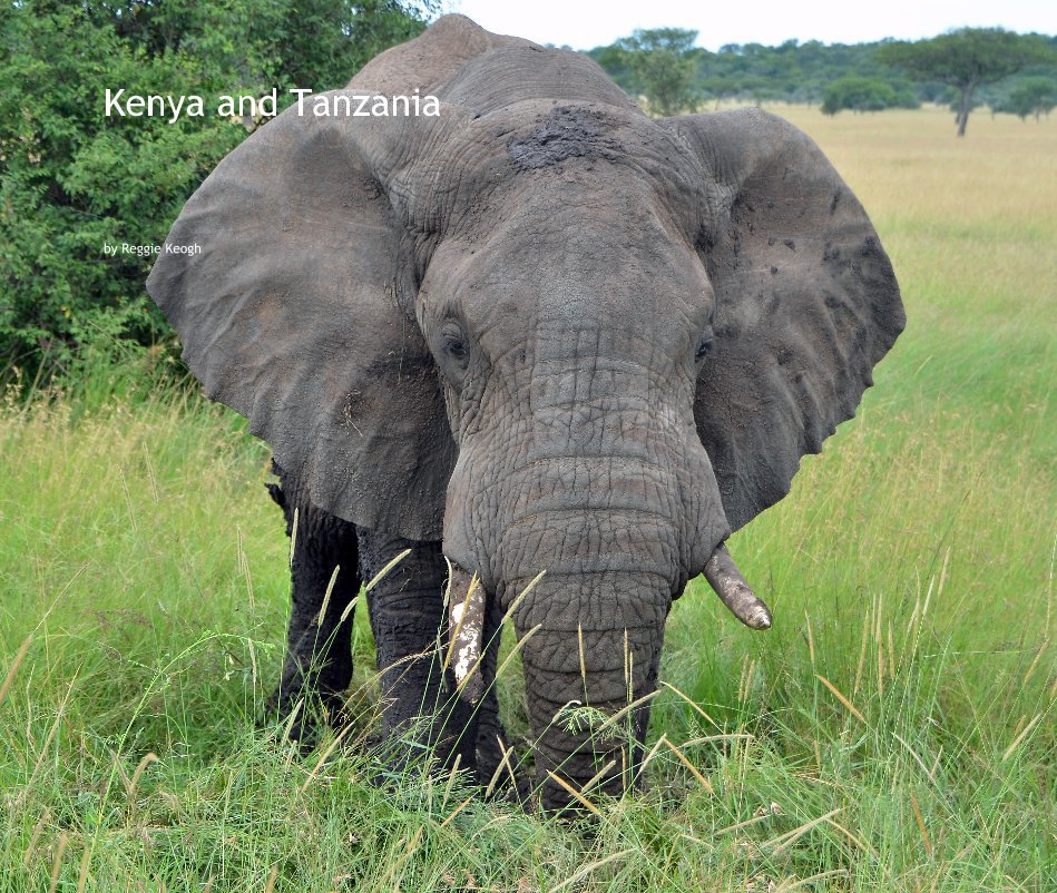 View Kenya and Tanzania by Reggie Keogh