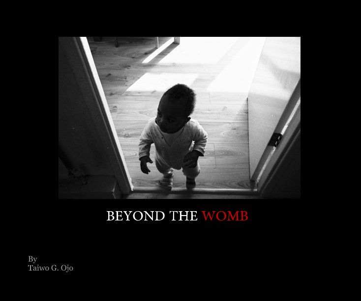 View BEYOND THE WOMB by Taiwo G. Ojo