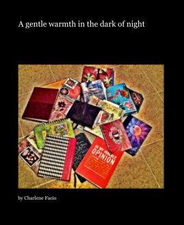 A gentle warmth in the dark of night book cover