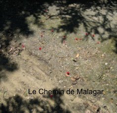Le Chemin de Malagar book cover