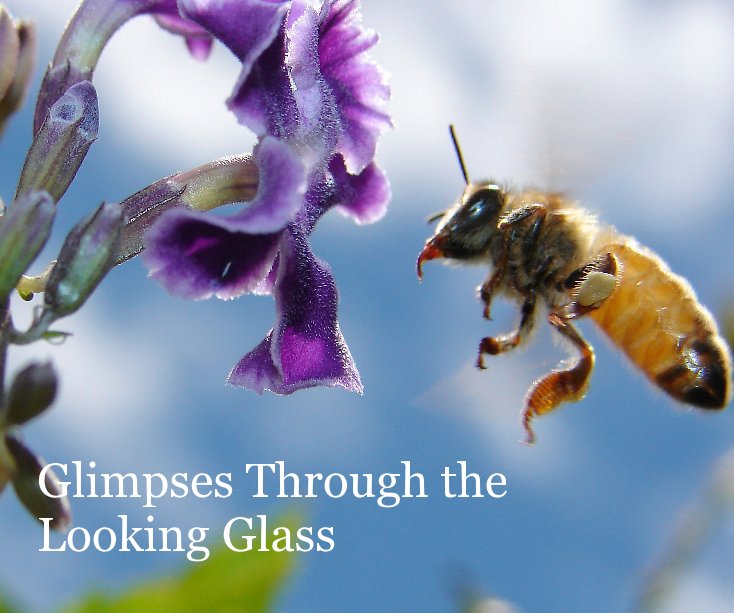 Ver Glimpses Through The Looking Glass por Louise Docker