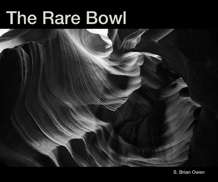 View The Rare Bowl by S. Brian Owen