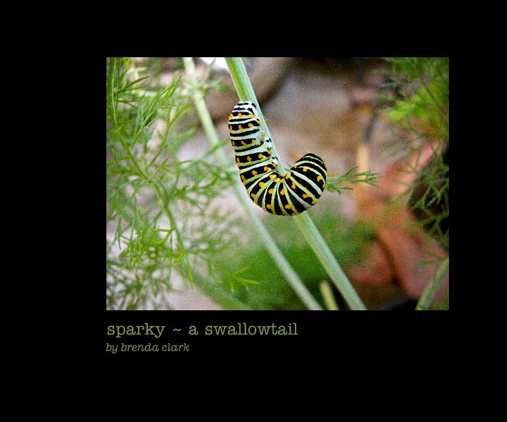 View sparky ~ a swallowtail                     by brenda clark by brenda clark