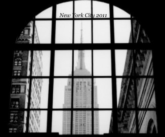 New York City 2011 book cover