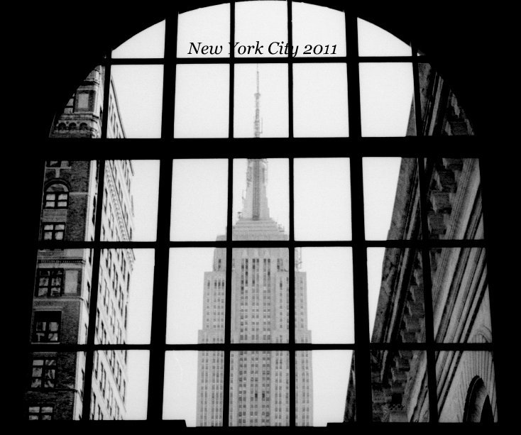 View New York City 2011 by Joseph Lee