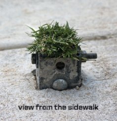 view from the sidewalk book cover