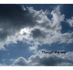 Though the sky book cover