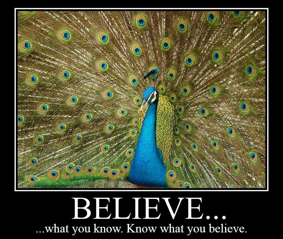Ver Believe por Kevin Blake